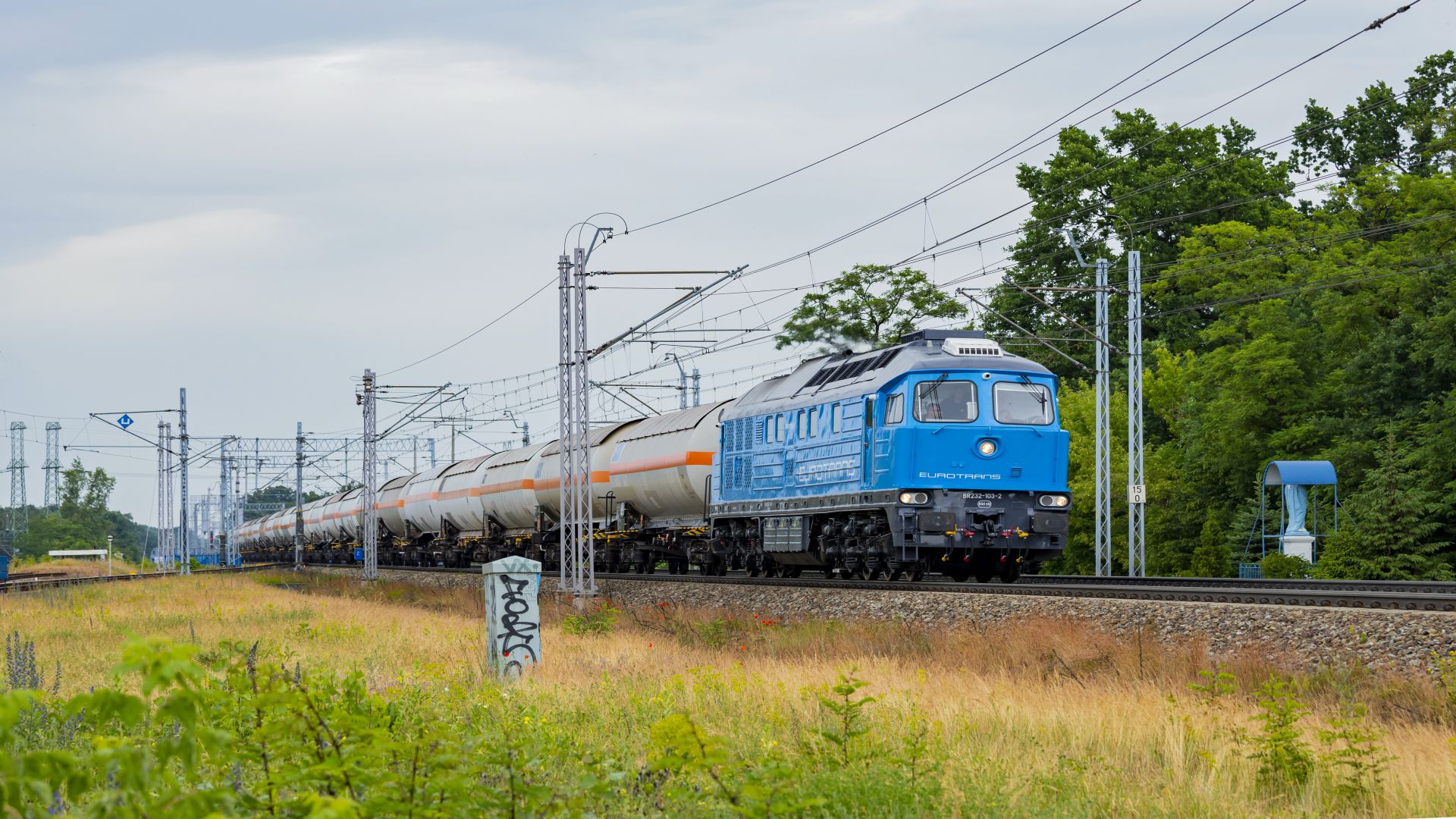 International Transport Organization